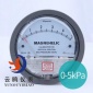 TE2000型微压差表0-±60PA TE2000微差压计0-±30PA TE2000微压差计0-±30PA TE2000微差压表0-±30PA